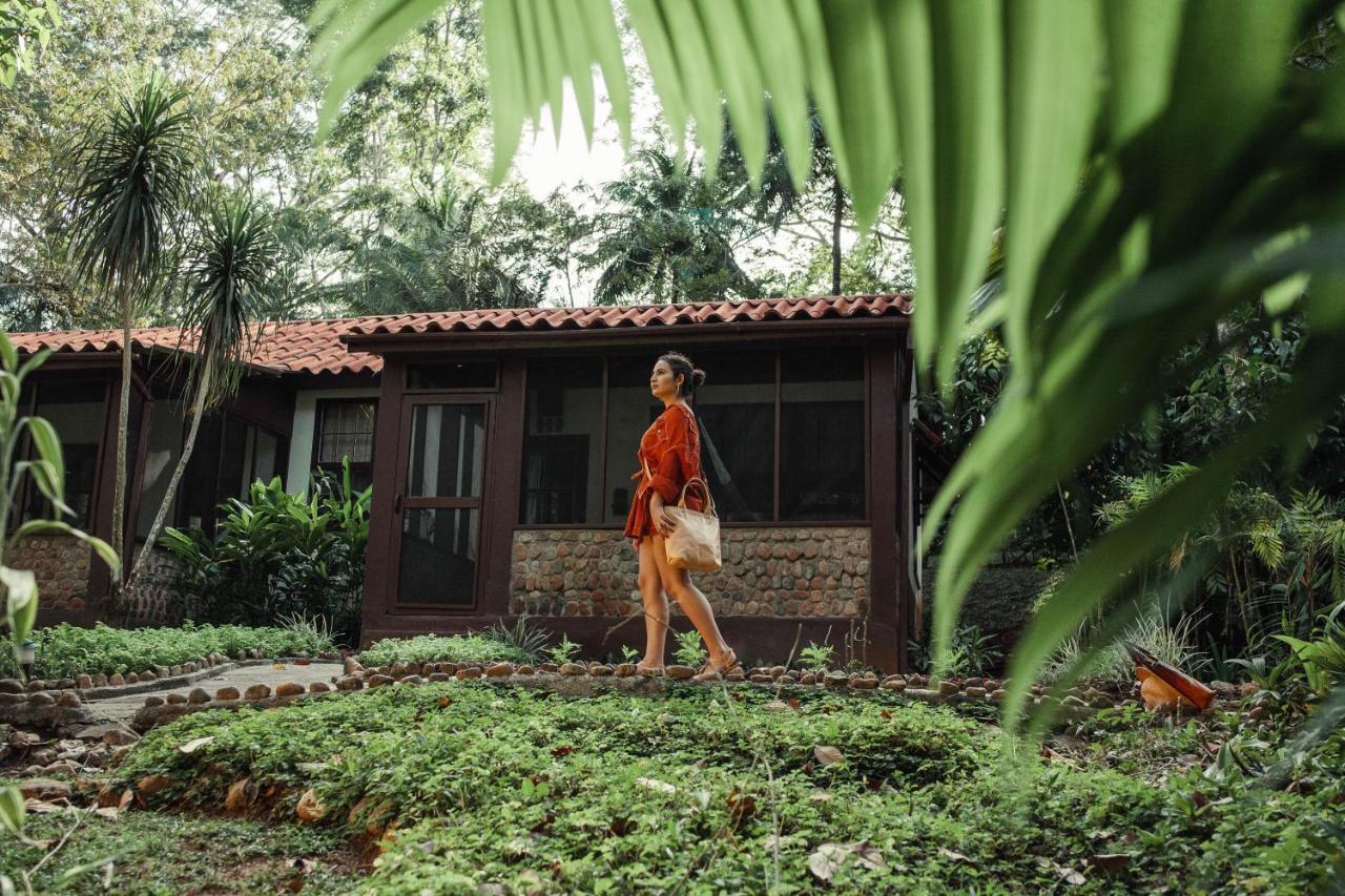Sweet Songs Jungle Lodge San Ignacio Exterior foto