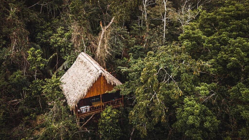 Sweet Songs Jungle Lodge San Ignacio Exterior foto