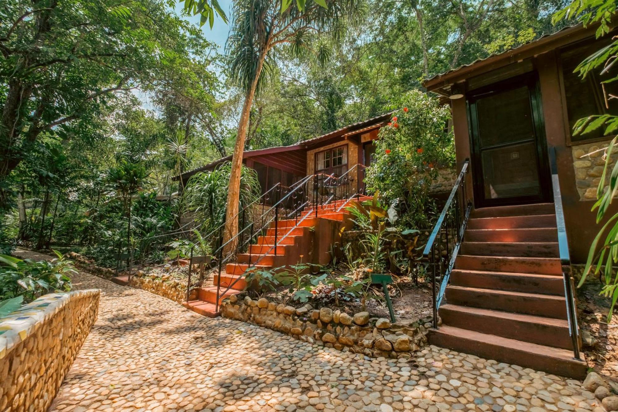 Sweet Songs Jungle Lodge San Ignacio Exterior foto