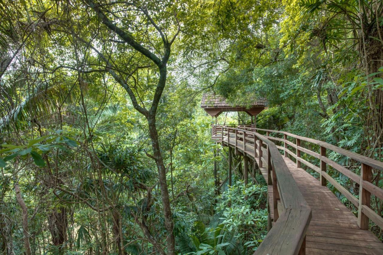 Sweet Songs Jungle Lodge San Ignacio Exterior foto