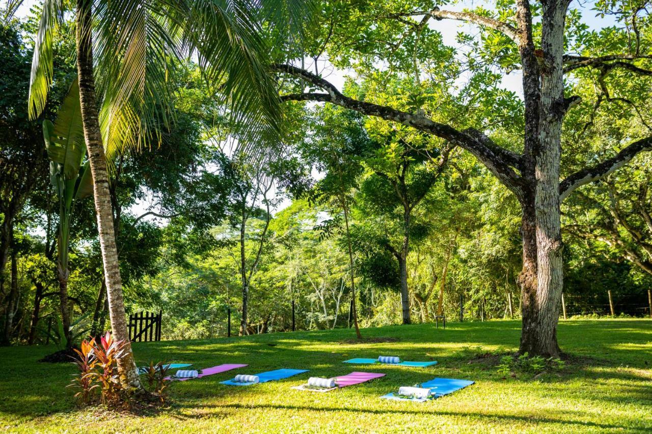 Sweet Songs Jungle Lodge San Ignacio Exterior foto